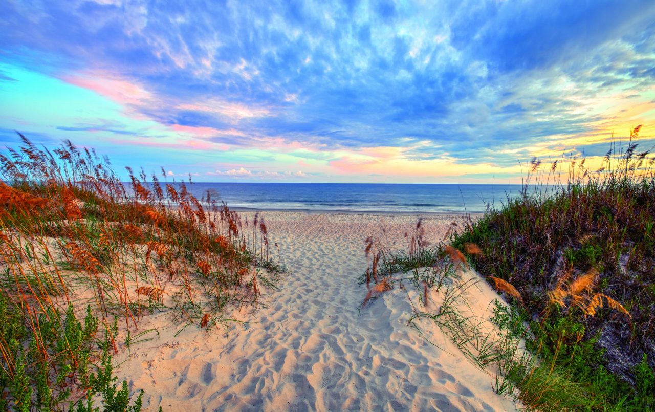 Image : Summer Collection